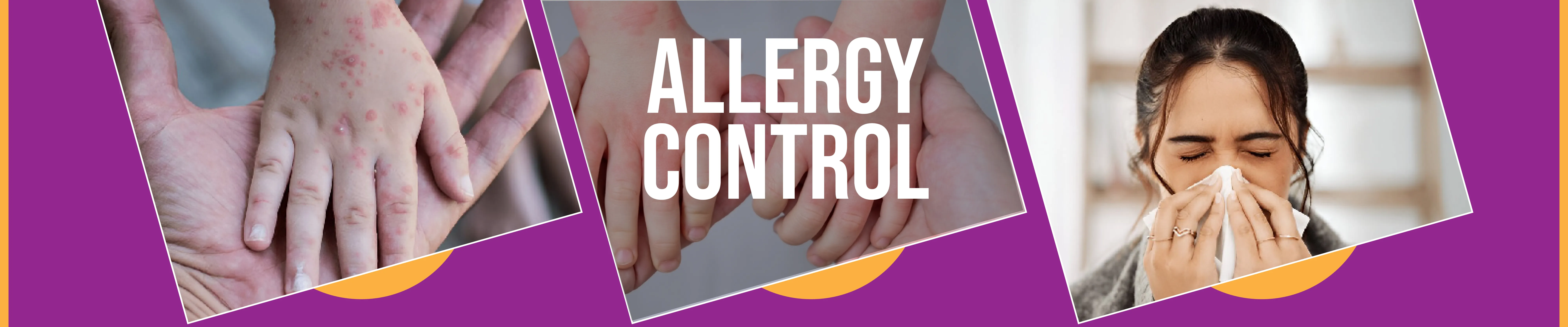 carpet cleaning in the westchester, carpet cleaning in the westchester, carpet cleaning the westchester, carpet cleaners in the westchester, carpet cleaners in the westchester, commercial carpet cleaning, commercial carpet cleaning in the westchester, the westchester rug cleaners, rug cleaning services in the westchester, same day carpet cleaning, same day rug cleaning