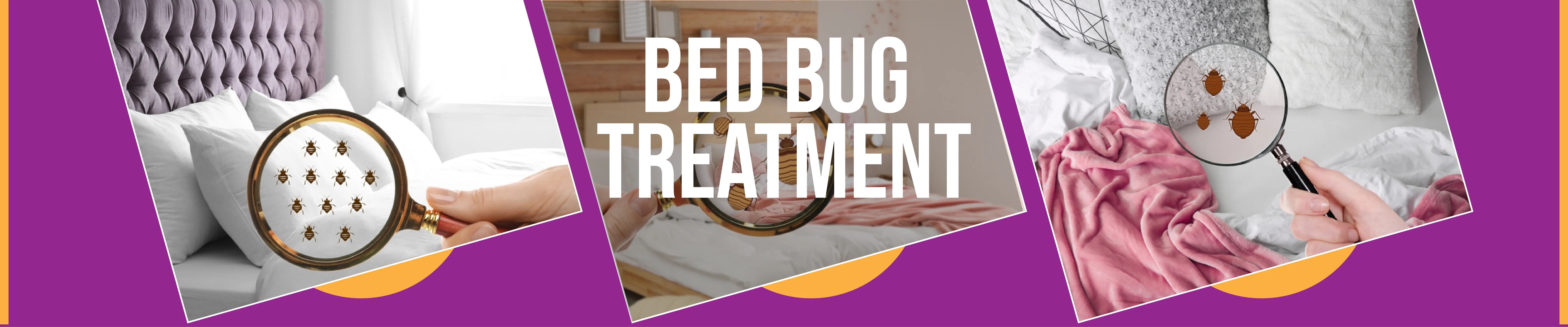 carpet cleaning in the westchester, carpet cleaning in the westchester, carpet cleaning the westchester, carpet cleaners in the westchester, carpet cleaners in the westchester, commercial carpet cleaning, commercial carpet cleaning in the westchester, the westchester rug cleaners, rug cleaning services in the westchester, same day carpet cleaning, same day rug cleaning