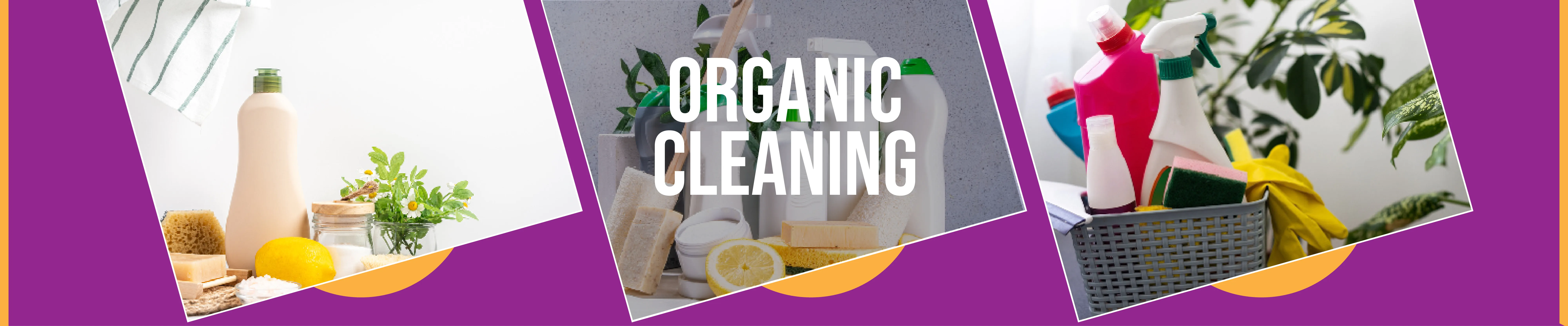 carpet cleaning in the westchester, carpet cleaning in the westchester, carpet cleaning the westchester, carpet cleaners in the westchester, carpet cleaners in the westchester, commercial carpet cleaning, commercial carpet cleaning in the westchester, the westchester rug cleaners, rug cleaning services in the westchester, same day carpet cleaning, same day rug cleaning