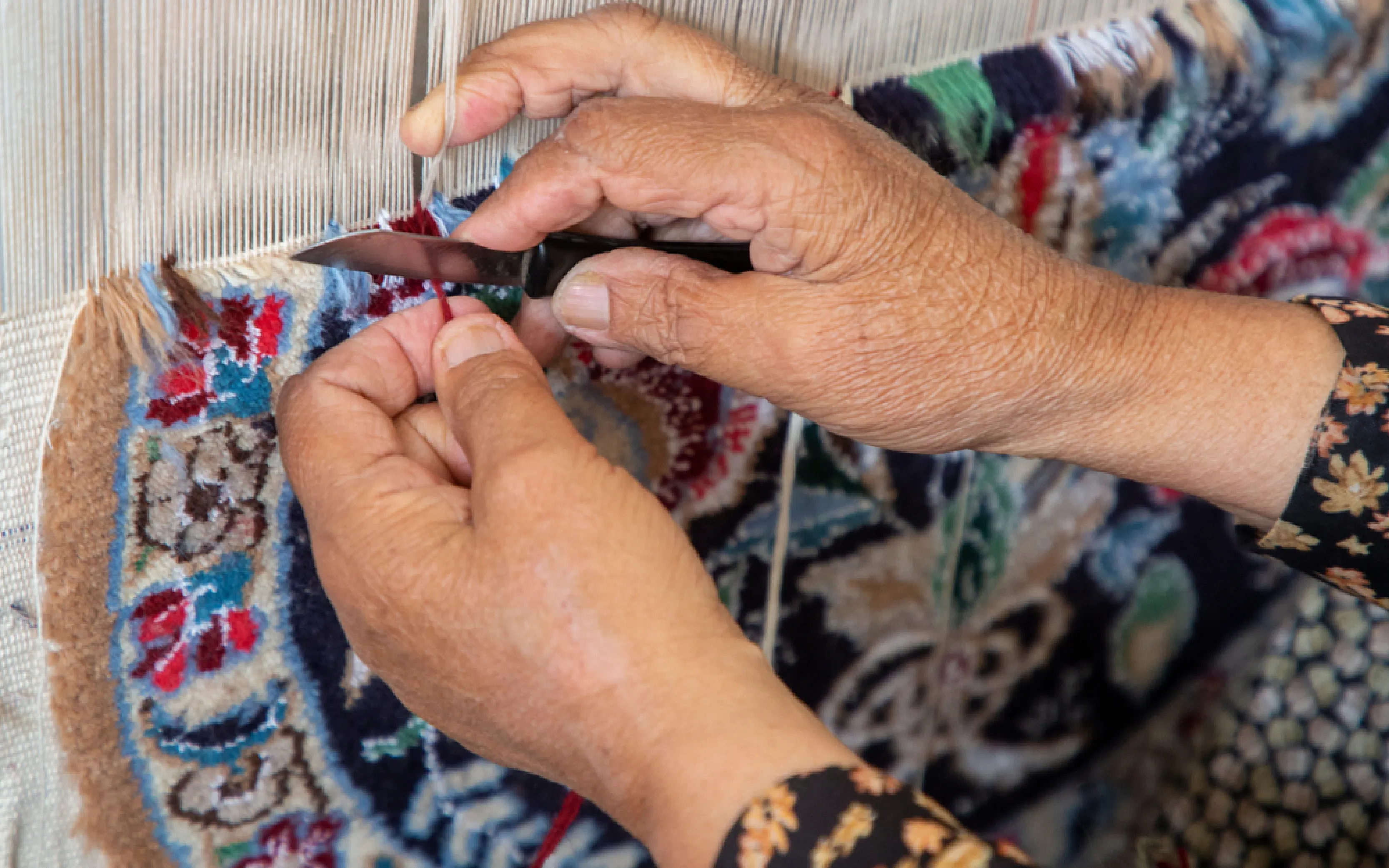 carpet cleaning in the westchester, carpet cleaning in the westchester, carpet cleaning the westchester, carpet cleaners in the westchester, carpet cleaners in the westchester, commercial carpet cleaning, commercial carpet cleaning in the westchester, the westchester rug cleaners, rug cleaning services in the westchester, same day carpet cleaning, same day rug cleaning