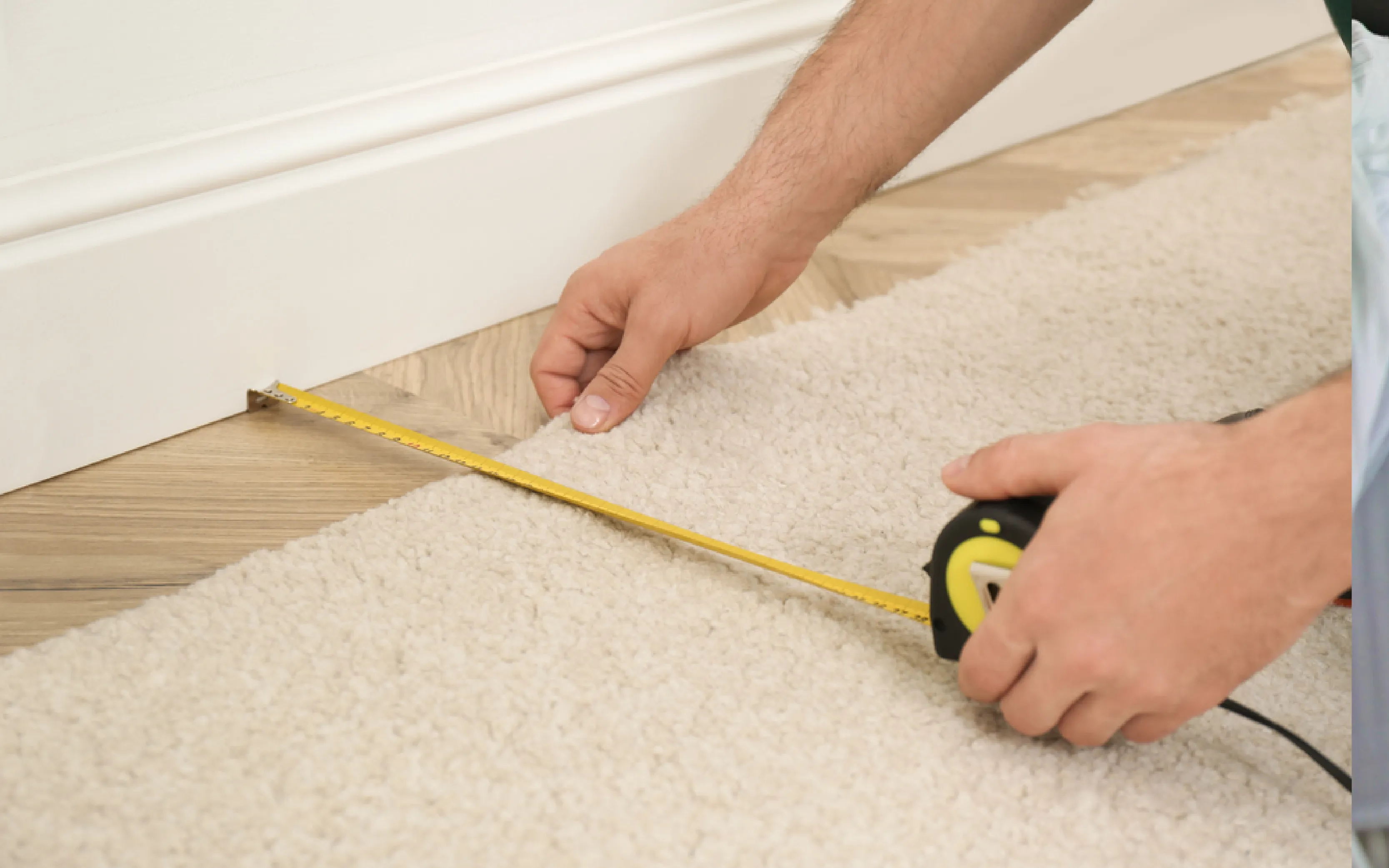 carpet cleaning in the westchester, carpet cleaning in the westchester, carpet cleaning the westchester, carpet cleaners in the westchester, carpet cleaners in the westchester, commercial carpet cleaning, commercial carpet cleaning in the westchester, the westchester rug cleaners, rug cleaning services in the westchester, same day carpet cleaning, same day rug cleaning