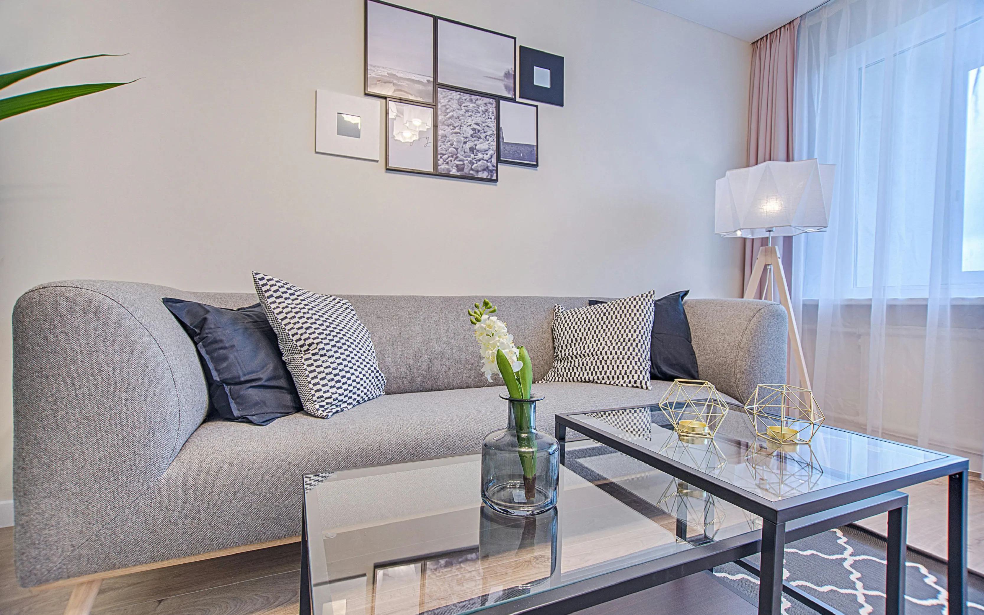 carpet cleaning in the westchester, carpet cleaning in the westchester, carpet cleaning the westchester, carpet cleaners in the westchester, carpet cleaners in the westchester, commercial carpet cleaning, commercial carpet cleaning in the westchester, the westchester rug cleaners, rug cleaning services in the westchester, same day carpet cleaning, same day rug cleaning