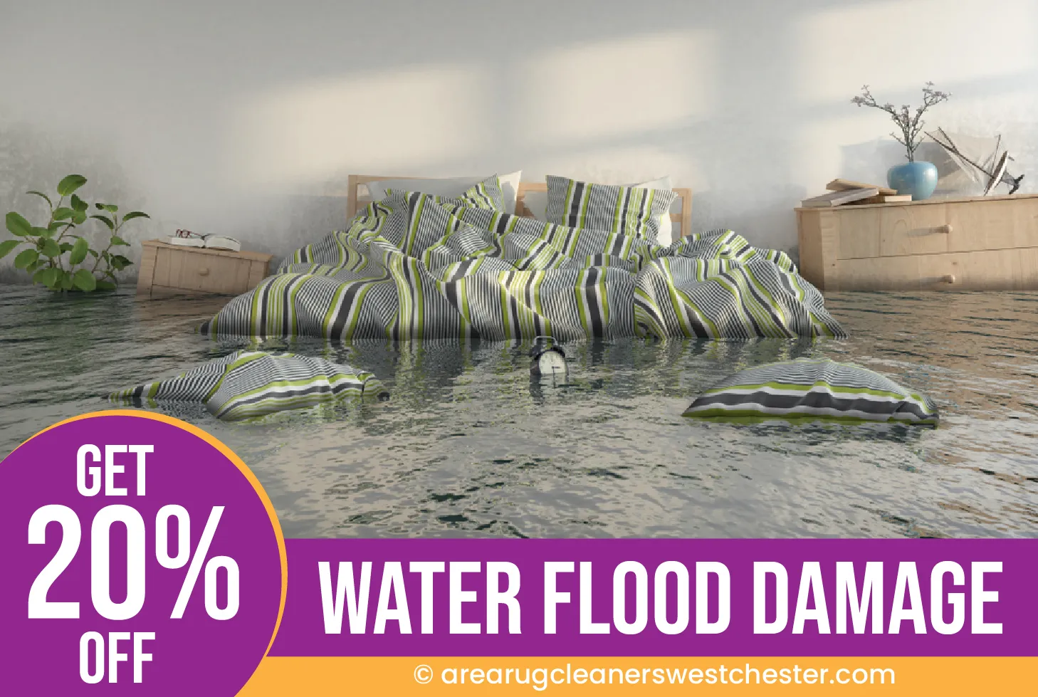 carpet cleaning in the westchester, carpet cleaning in the westchester, carpet cleaning the westchester, carpet cleaners in the westchester, carpet cleaners in the westchester, commercial carpet cleaning, commercial carpet cleaning in the westchester, the westchester rug cleaners, rug cleaning services in the westchester, same day carpet cleaning, same day rug cleaning