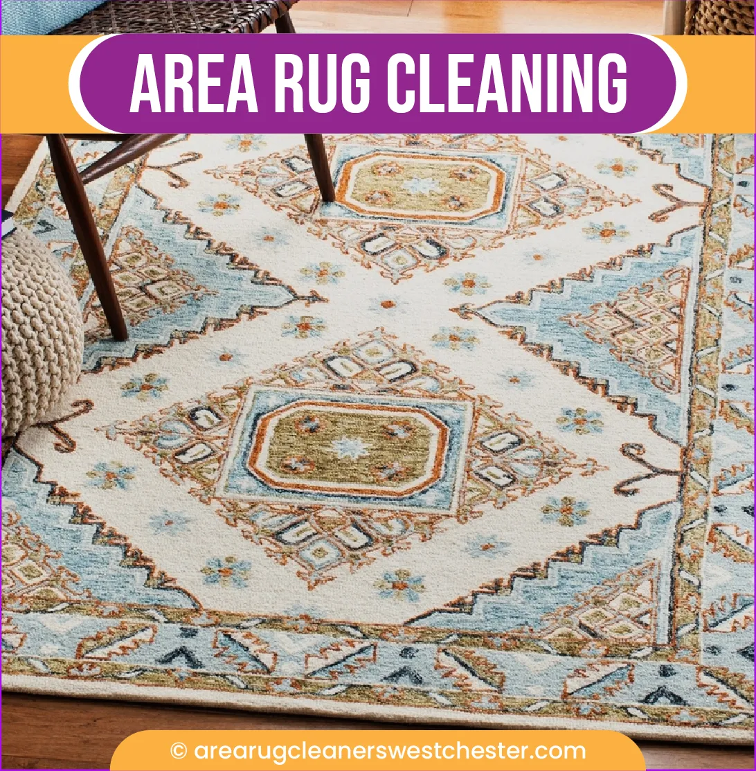 carpet cleaning in the westchester, carpet cleaning in the westchester, carpet cleaning the westchester, carpet cleaners in the westchester, carpet cleaners in the westchester, commercial carpet cleaning, commercial carpet cleaning in the westchester, the westchester rug cleaners, rug cleaning services in the westchester, same day carpet cleaning, same day rug cleaning